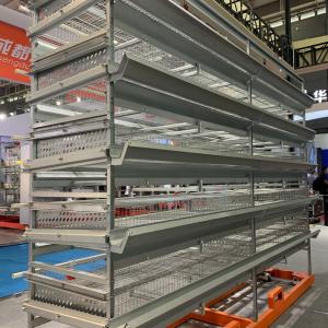 China 4m Poultry Chicken Cage factory