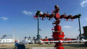 China API 6A Wellhead 2-9/16&quot; 5000psi PSL1 &amp; PR1 X-Mas Tree , Oilfield Chrismas Tree for Oil Drilling factory