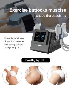 China Portable Pelvic Ems Sculpting Machine Air Cooling 4 Hanldes Fat Reduce Machine factory