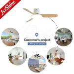 Nordic Style Flush Mounted LED Ceiling Fan with 3 Blades and 6000k Color