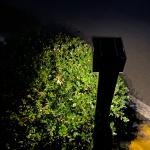 Traditional Outdoor Solar Post Lights 5V 1.6W Metal Pole Garden Accent Light