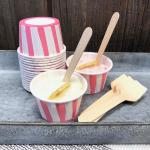 Renewable Disposable Wooden Gelato Spoons Compostable Odorless