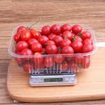 16.5cm Disposable Vegetable Containers