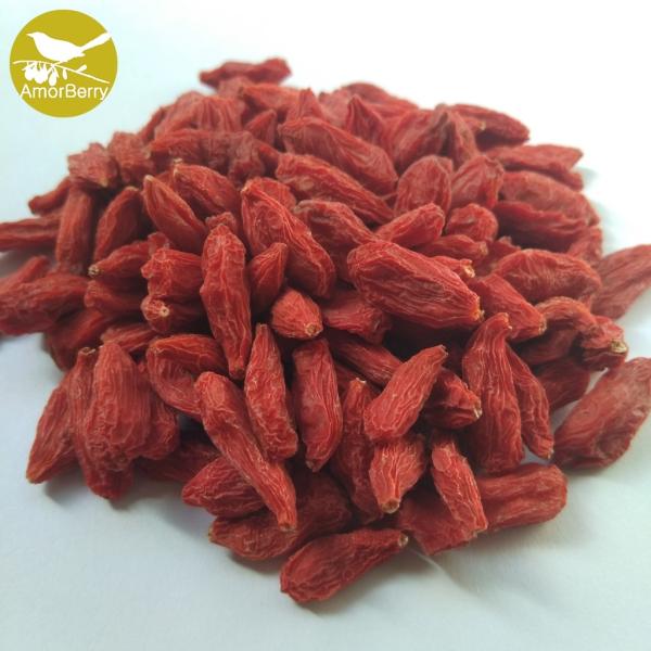 High Quality Bag Package New product organic dried goji berries or Natural