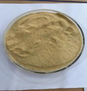 China Light Yellow Beer Yeast Powder Feed Additives With High Real Protein factory