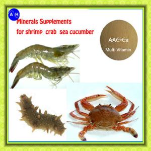 China Shell Animal Feed Additive Multi Vitamin Calcium Minerals Premix For Shrimp factory