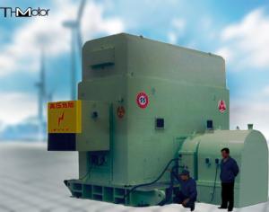 China 6300KW Brushless Exciter AC Synchronous Motor IP44 IP54 IP55 factory