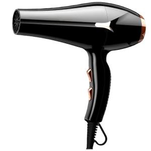 China Professional Salon Portable Long Lasting AC Motor 2000W Ionic Hair Dryer factory