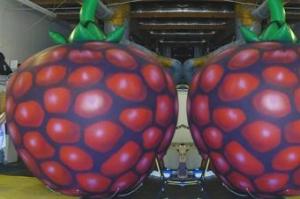 China lovely stawberry inflatable helium balloon factory