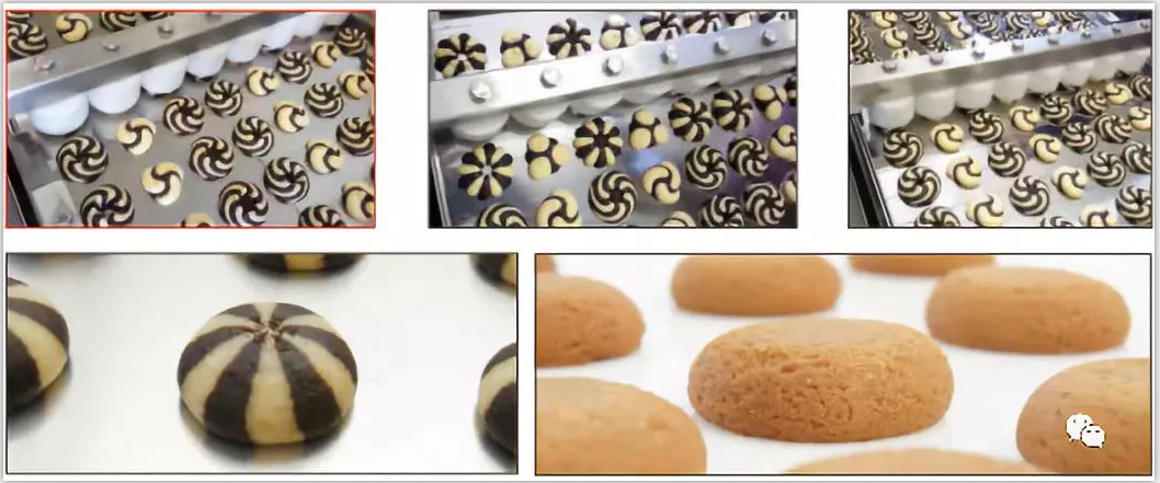 Type 600mm servo motor cookie machine with S/S with non-sitcked tray in food shop or food factory