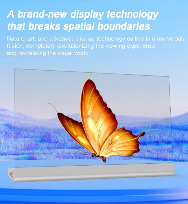 4K Transparent Oled Display Screen Flexible Oled Advertising Touch Screen With Panel Support 55 And 30 Inch For Window And Glass