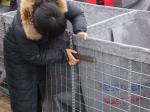 Metal Security Barrier MIL 4 Defense Hesco Bastion