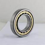 Brass Cage Cylindrical Roller Bearing NJ 202 NJ203 NJ204 for Locomotives