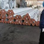 6mm - 219mm Seamless Perforated Steel Pipes TP304 For Engineering Projects