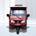 72V LCD Speedmeter 3 Wheel Adults Electric Tricycles Adultos Trike Cargo 37