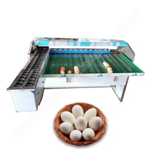 Chicken Egg Sorting Machine Automatic Egg Sorting Machine 4000-10000 Pcs
