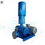 Cast Iron Motor 0.75-90kw Model 200 Three Lobe Roots Blower for Industrial