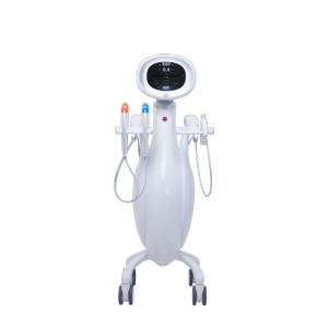 China Anti Wrinkle 300W HIFU Machine Skin Rejuvenation 2MHZ 4MHZ 5.5MHZ 12D factory