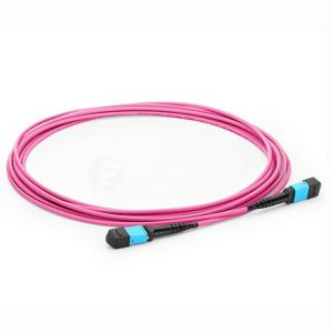 China 10G OM4 MPO Products purple trunk cable 12 Fiber optic patch cord IL&lt;=0.35dB factory