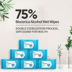 75% Medical Alcohol Anti Virus Babyganics Wipes Antiseptic Disinfectant Wet