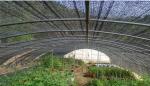 2 Needles / 3 Needles Sun Shade Net High Density Polyethylene Founded 35gsm -