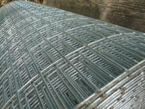China Hot Dipped Galvanized 3 X 100FT Welded Wire Mesh factory