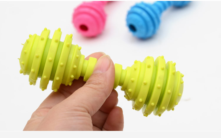 Colorful Bone Shape TPR Pet Dog Toy Suitable for All Seasons Barbell Dog Chew Toy