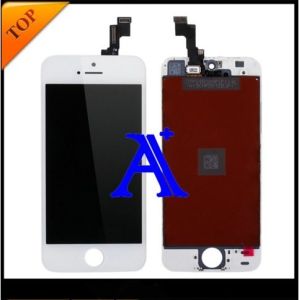 China LCD for white iphone 5s, mobile phone screen lcd for iphone 5s lcd display, for iphone 5s touch screen digitizer on sale