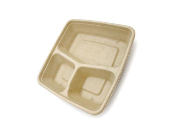 9 inch Outdoors Takeaway Food Containers Disposable Lunch Biodegradable