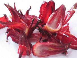 China Rose hip extract, Rose extract , Roselle Extract, CHINESE MANUFACTURER , fregulate blood pressure and improve sleep factory