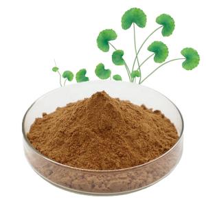 China Natural Centella Asiatica Extract Gotu Kola Powder For Skin factory