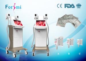 China Cryolipolysis machine for sale 2 cryo handles working together 1800W power 15 inch touch screen factory