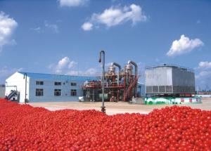 China UHT Sterilizing Tomato Paste Production Line For Apple Jam / Shea Butter / Red Pepper Paste factory