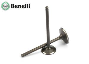 China Original Motorcycle Engine Valve for Benelli TNT250, BN250, BJ250 factory