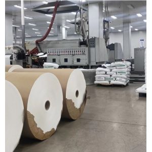 Strong moisture and grease barrier Durable Packing paper PE/PLA Coated Cup/bowl