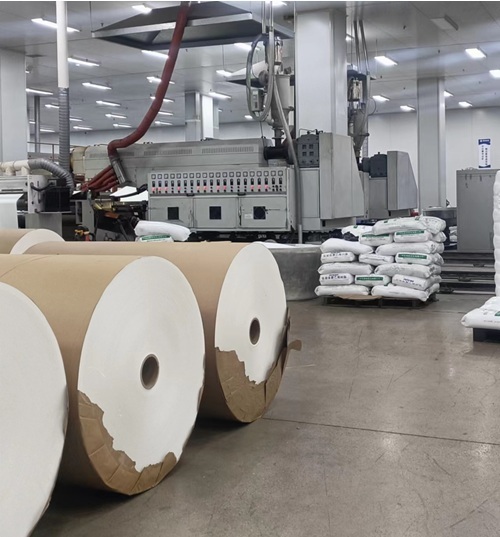 Strong moisture and grease barrier Durable Packing paper PE/PLA Coated Cup/bowl