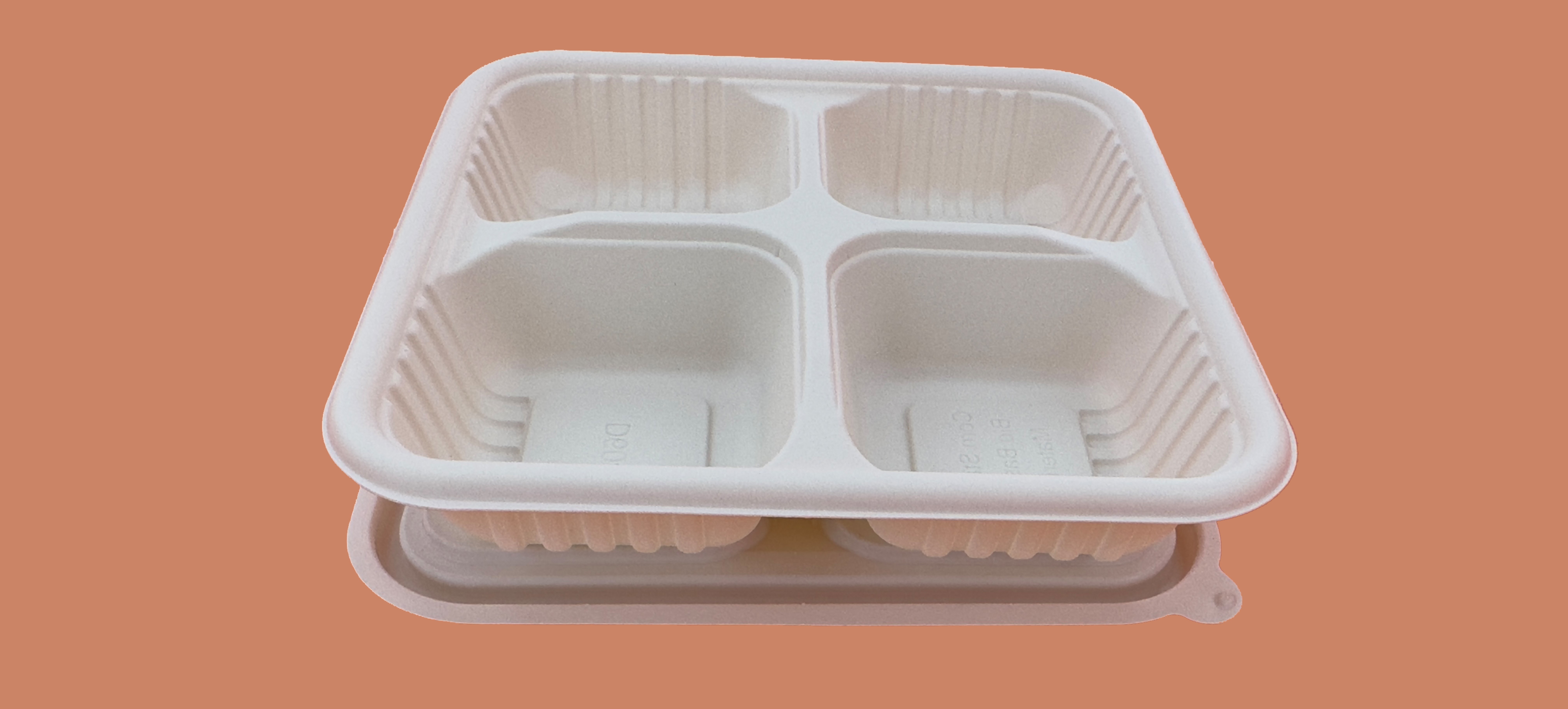 corn starch lunch box with lid take-away packaging box disposable fast food box wholesale