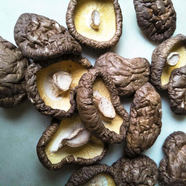 China Premium Dried Shiitake Mushrooms Healthy Nutritious Delicious factory