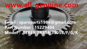 China 15229404 GEAR TEREX DUMP TRUCK TR35 TR50 TR60 TR100 3305B 3305F 3303 3307 TR45 TR70 MT4400 CUMMINS ALLISON factory