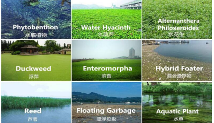 Water Reed Hyacinth 5000m2 Aquatic Weed Harvester Boat