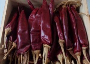 China Medium Hot Dried Guajillo Chili Nature Red Chile Peppers factory