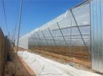 A Leading Manufacturer And Retailer Of Crop Input Products, Crop Protection