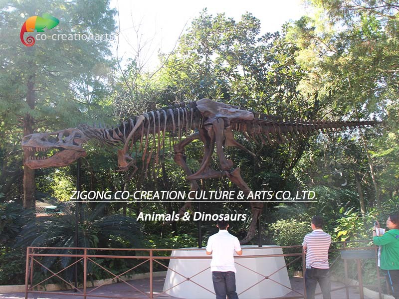 Weather Resistance T Rex Skeleton Replica