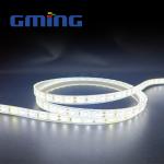 Remote Control 2835 LED Light Strips Waterproof Casing 24v Dimmable LED Strip