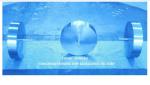 STAINLESS STEEL FLOATER FOR APT BALLAST AIR VENT HEAD &STAINLESS STEEL FLOATER