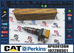China diesel engine parts fuel injector AP63813BN 1822803C1 BN1830693C3 593597C91R BI1830562C2 BI1830560C2 factory