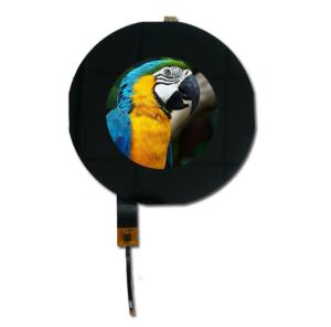 China Startek ST7262 LVDS Interface Round Tft LCD 5 Inch IPS Display 800*480 factory