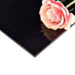 Light Fastness 6+ Construction Plastic Panel Length 2440-5800mm Impact