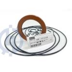 VOE14684116 14706147 CAT330C E330C Travel Motor Seal Kit Excavator O Ring Kit