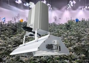 China Ceramic Metal Halide HID Grow Lights 630W High Efficiency For Large Scale Horticulture factory